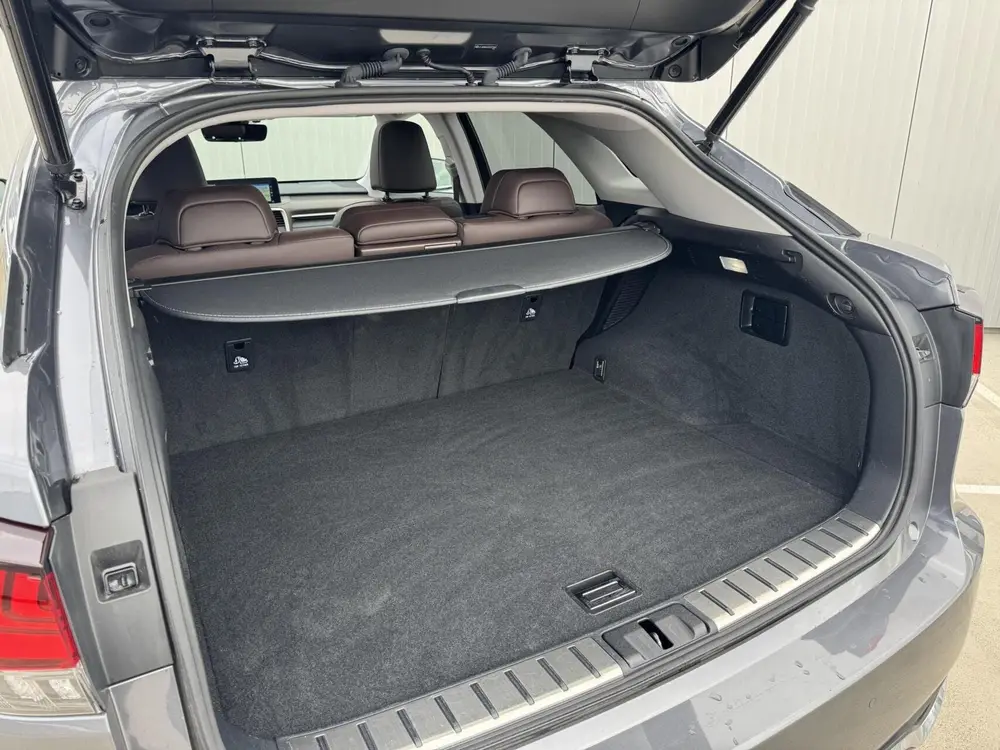 Lexus RX 450h AWD Executive Line|NL-Auto|Schuifdak|Navi uit 2021, foto 17