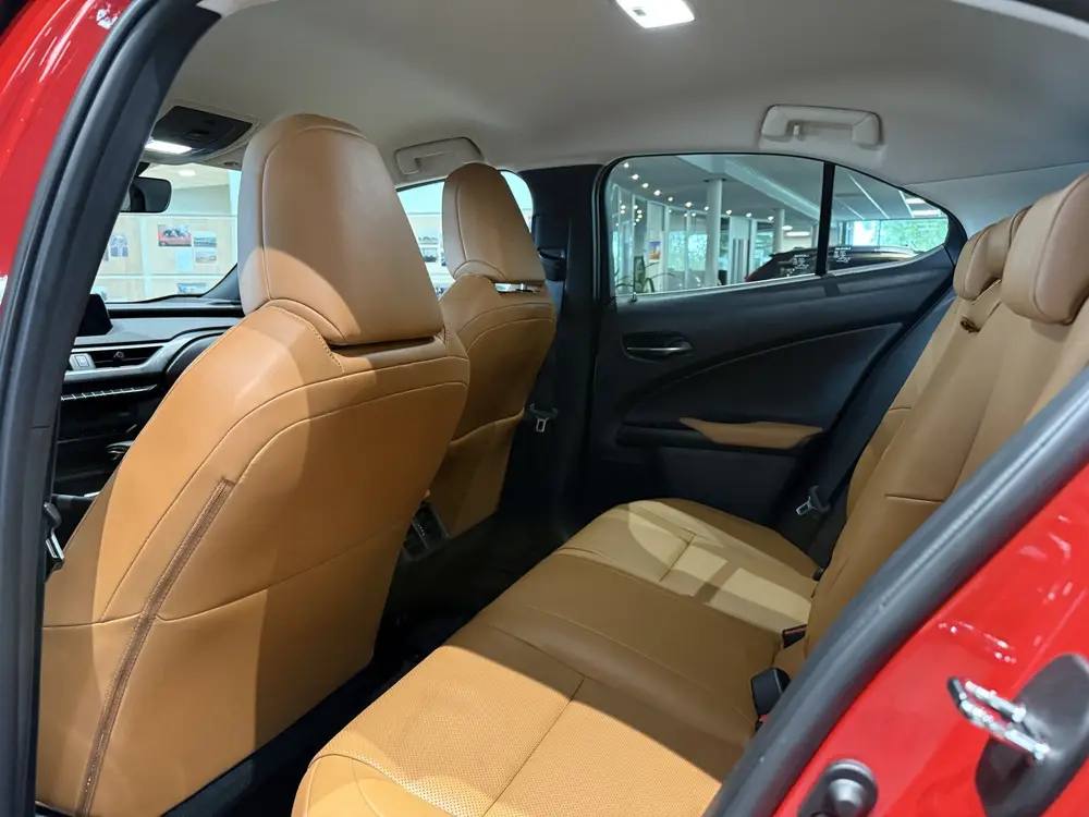 Lexus UX 250h AWD Executive Line, President pack, Mark Levin uit 2019, foto 10