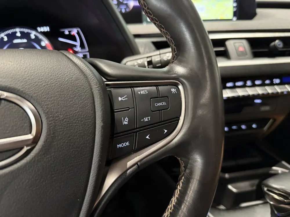 Lexus UX 250h AWD Executive Line, President pack, Mark Levin uit 2019, foto 16