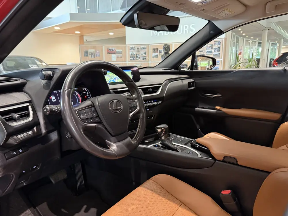 Lexus UX 250h AWD Executive Line, President pack, Mark Levin uit 2019, foto 2