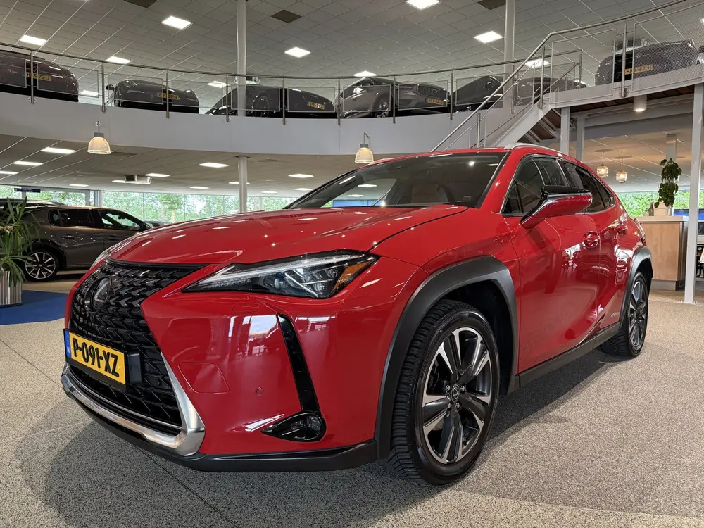 Lexus UX 250h AWD Executive Line, President pack, Mark Levin uit 2019, foto 5