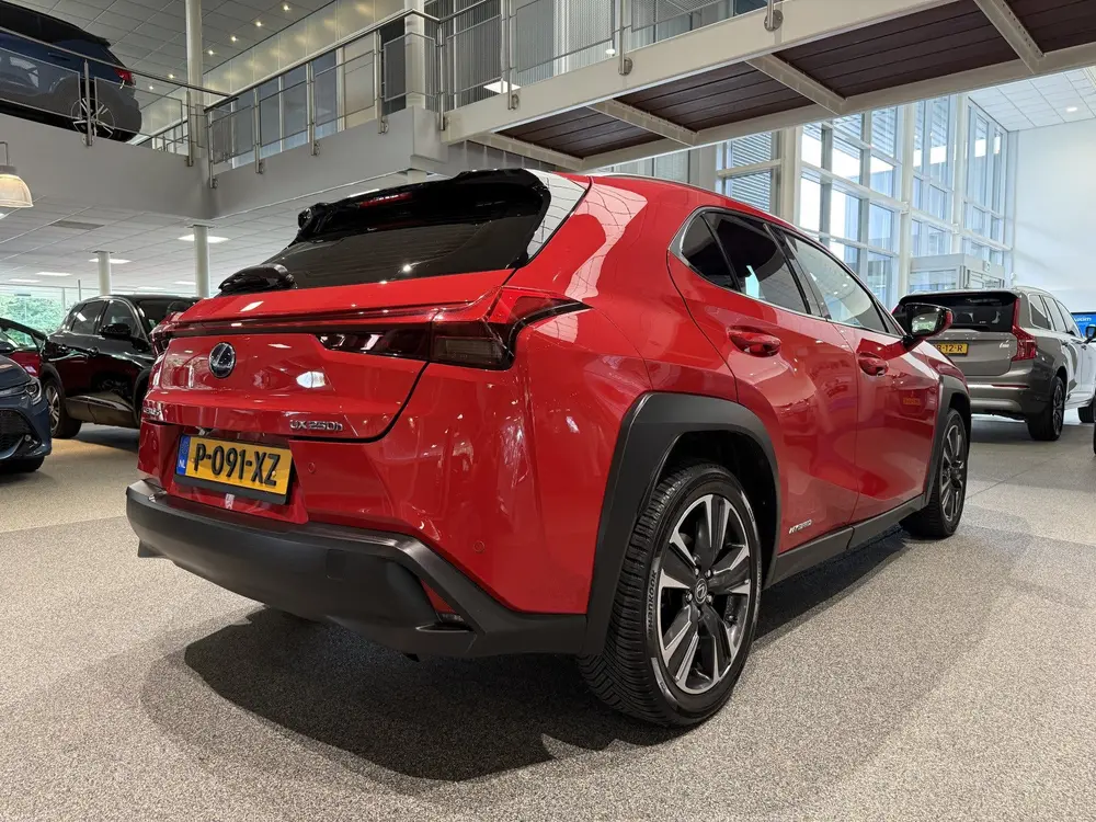 Lexus UX 250h AWD Executive Line, President pack, Mark Levin uit 2019, foto 6