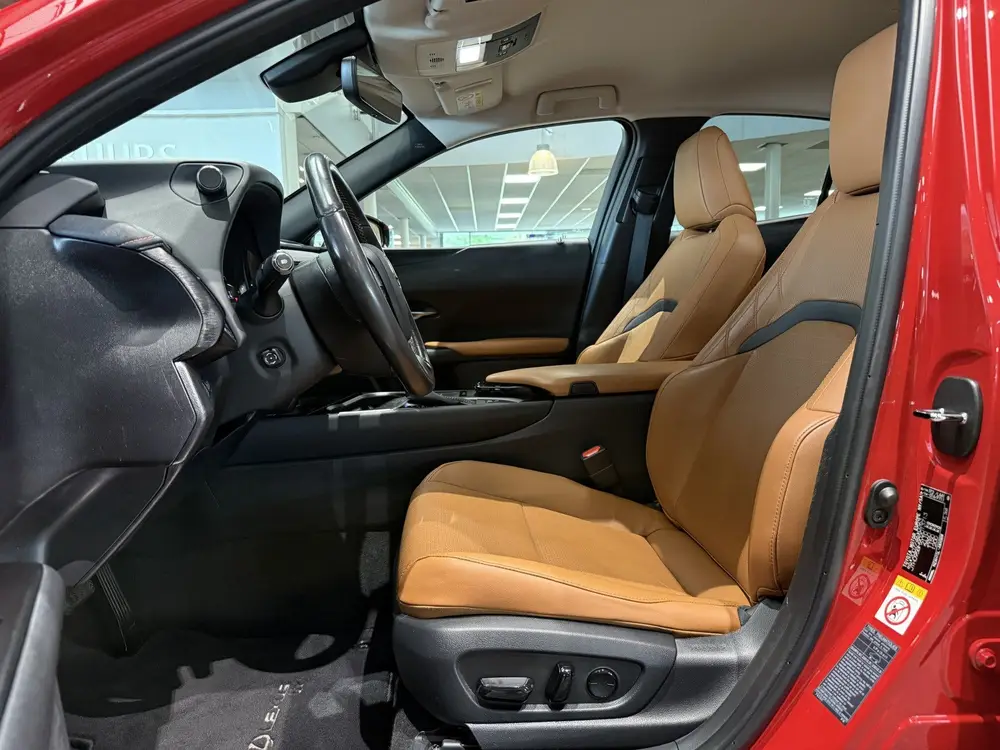 Lexus UX 250h AWD Executive Line, President pack, Mark Levin uit 2019, foto 9