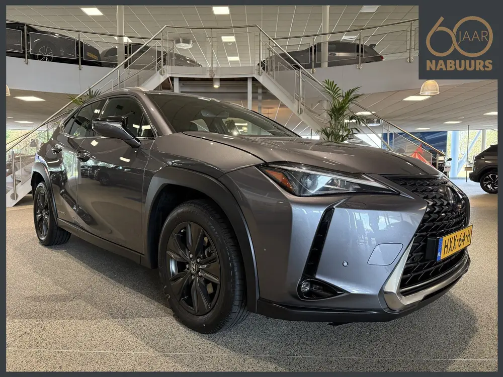 Lexus UX 250h Luxury Line, Leder, Camera, Navi, LED, DAB+ uit 2019
