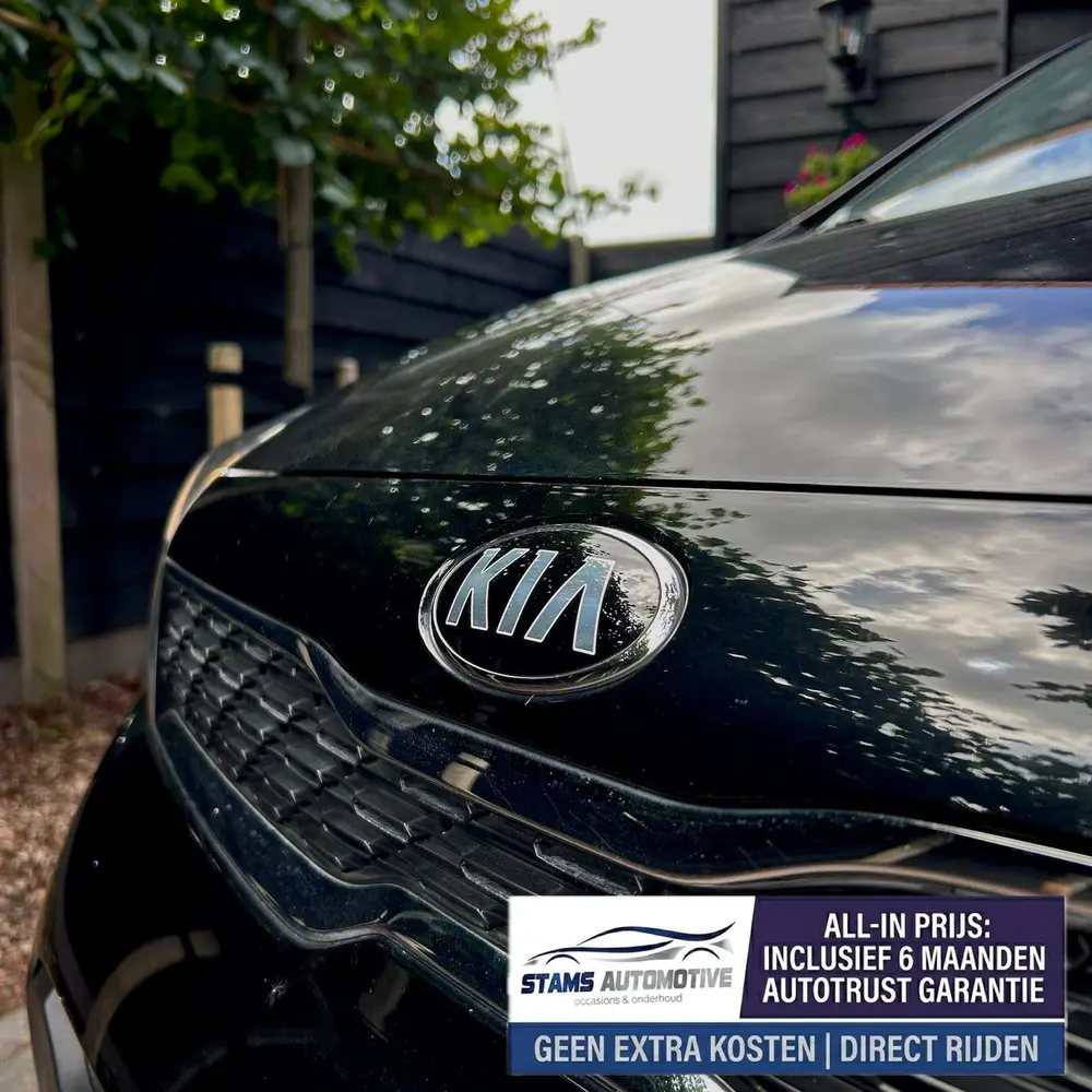 Kia Picanto 1.0 MPI Dynamicline | Carplay | Nw Koppeling|Gar uit 2019, foto 3