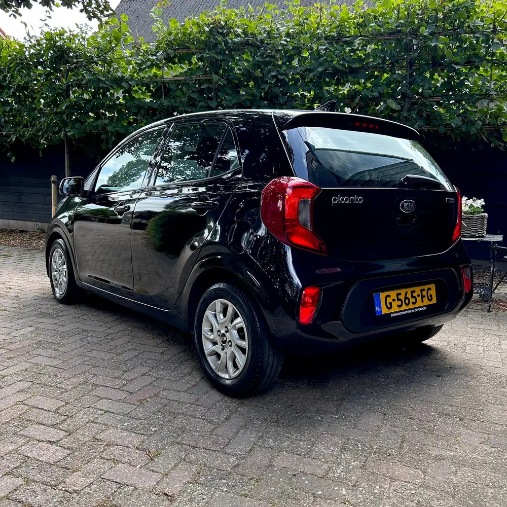 Kia Picanto 1.0 MPI Dynamicline | Carplay | Nw Koppeling|Gar uit 2019, foto 6