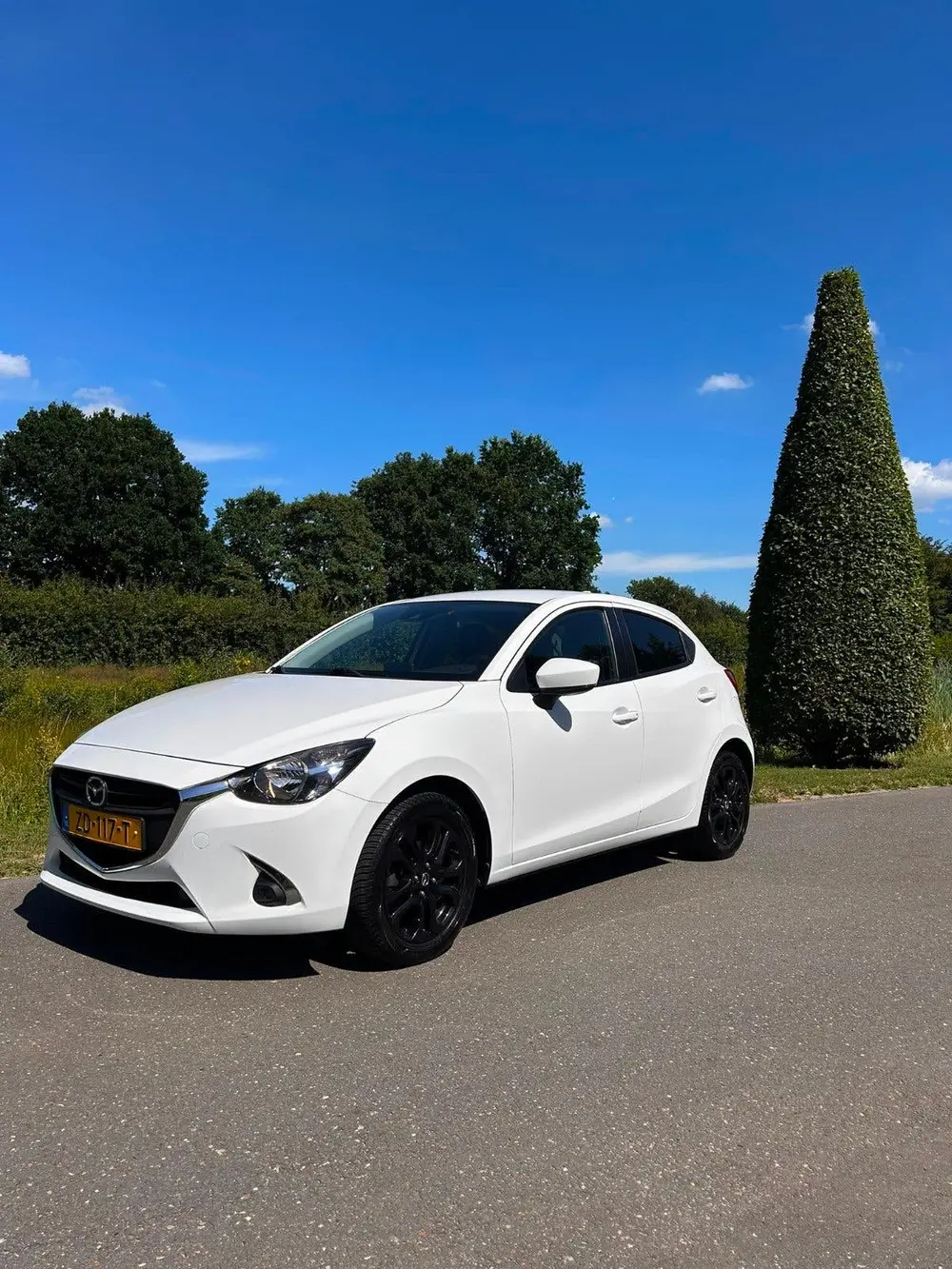 Mazda 2 1.5 Skyactiv-g Luxury 2019 Wit uit 2019
