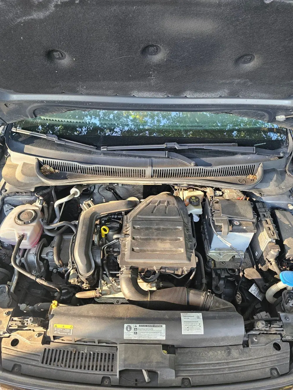 Volkswagen Polo 1.0 tsi uit 2019, foto 8
