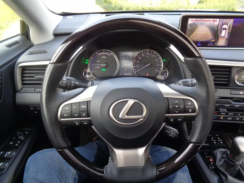 Lexus RX 450h Hybrid 313pk CVT AWD President Line uit 2019, foto 16