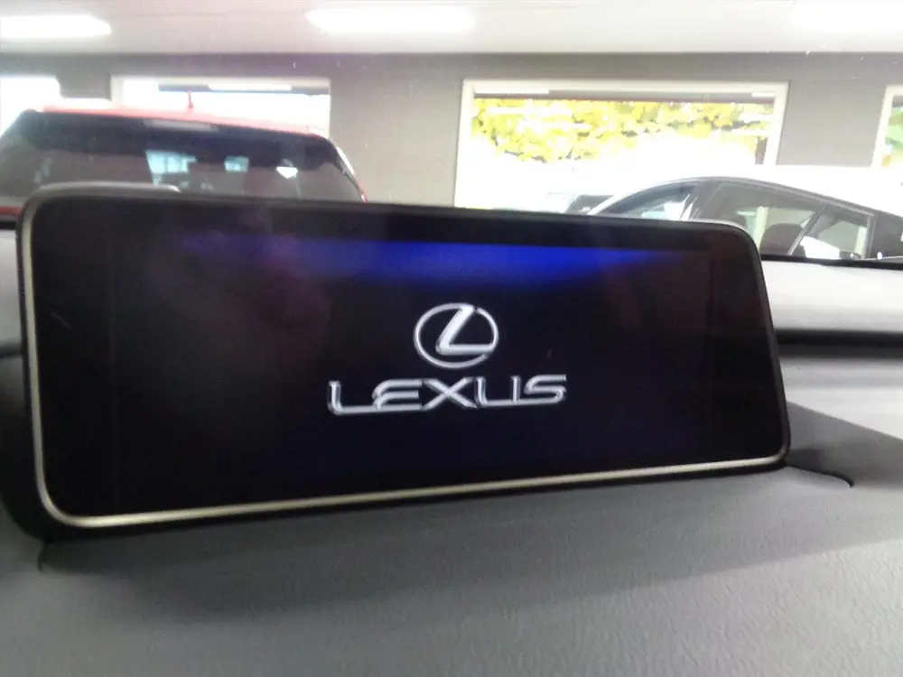 Lexus RX 450h Hybrid 313pk CVT AWD President Line uit 2019, foto 2