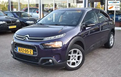 Citroën C4 Cactus Citroen C4 CACTUS 1.2 PureTech Feel | LED VISION | NAVIGATIE uit 2019