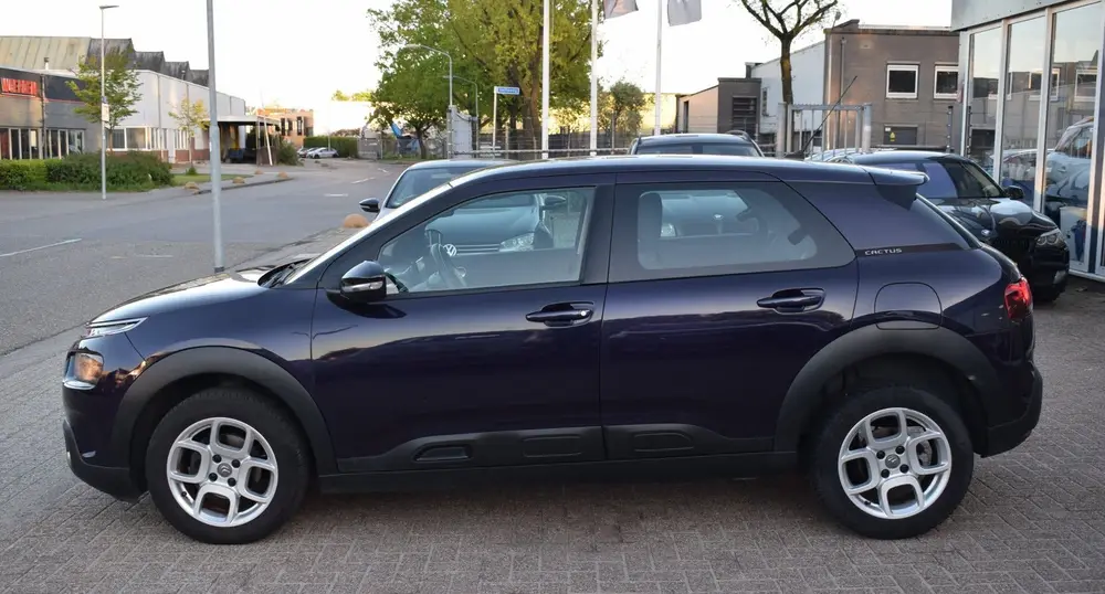 Citroën C4 Cactus Citroen C4 CACTUS 1.2 PureTech Feel | LED VISION | NAVIGATIE uit 2019, foto 2