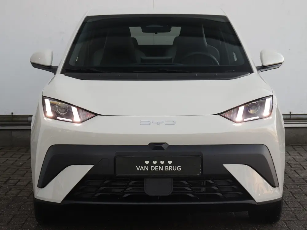 BYD Dolphin Surf Comfort 43 kWh uit 2026, foto 2