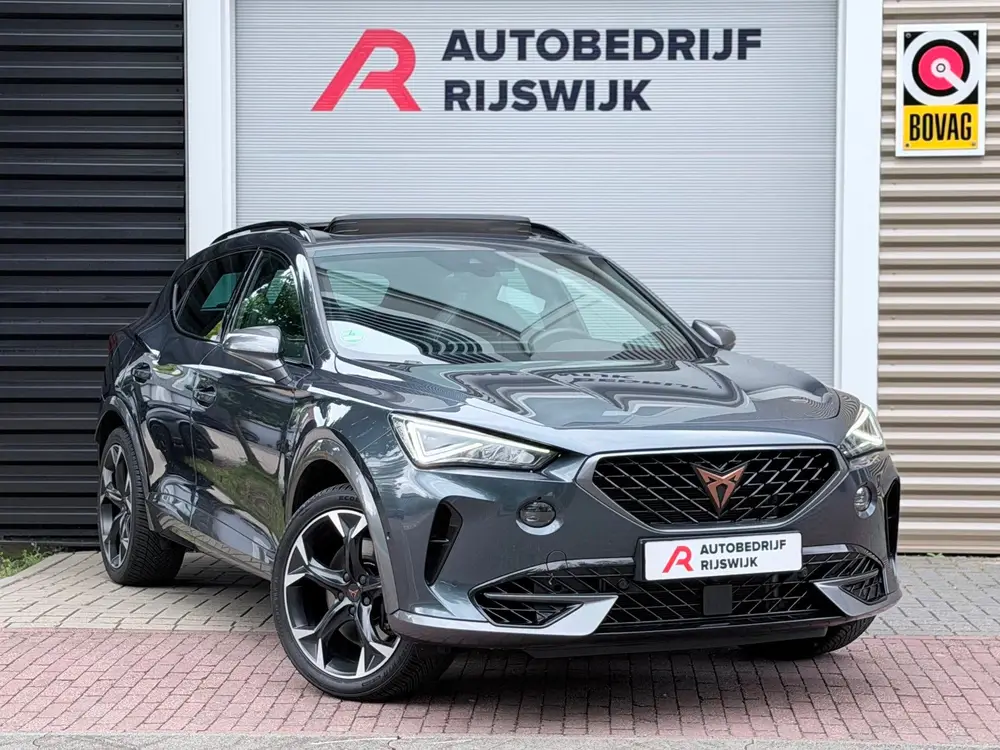 Cupra Formentor 2.0 TSI 4DRIVE Pano/Camera/Sfeer uit 2021, foto 6