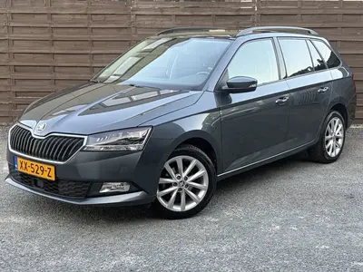 Skoda Fabia 1.0 Business Edition uit 2019