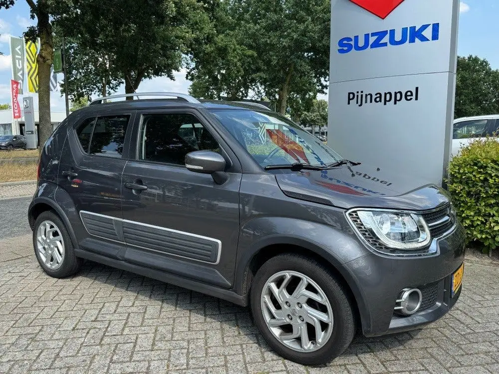 Suzuki Ignis 1.2 Stijl 5-deurs Smart Hybrid Cruise control/N uit 2019, foto 10