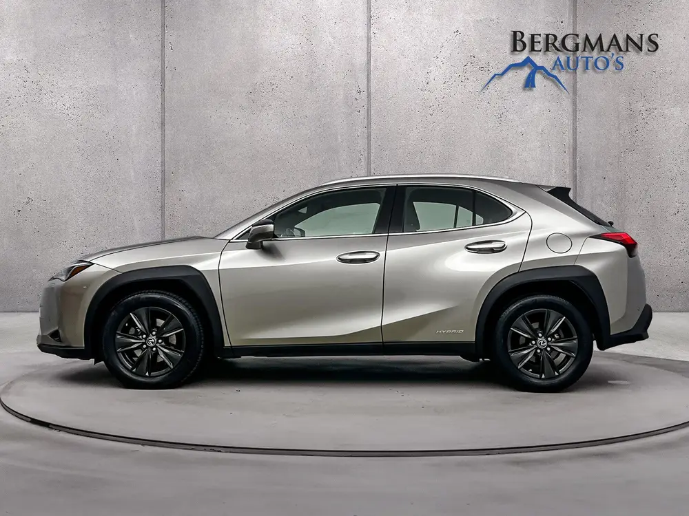 Lexus UX 250h Luxury Line // DEALERONDERHOUDEN // LEDER // uit 2019, foto 10