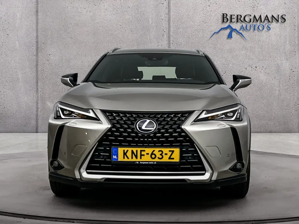 Lexus UX 250h Luxury Line // DEALERONDERHOUDEN // LEDER // uit 2019, foto 18
