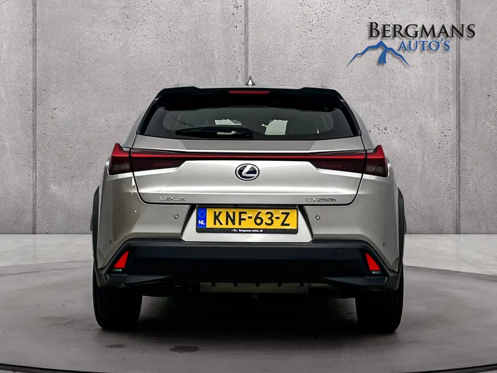 Lexus UX 250h Luxury Line // DEALERONDERHOUDEN // LEDER // uit 2019, foto 19