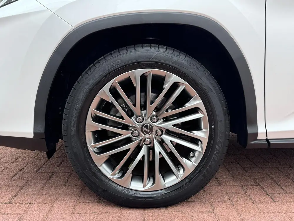 Lexus RX 450h AWD President Trekhaak MarkLevinson Panorama uit 2021, foto 10
