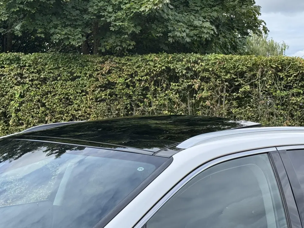 Lexus RX 450h AWD President Trekhaak MarkLevinson Panorama uit 2021, foto 12