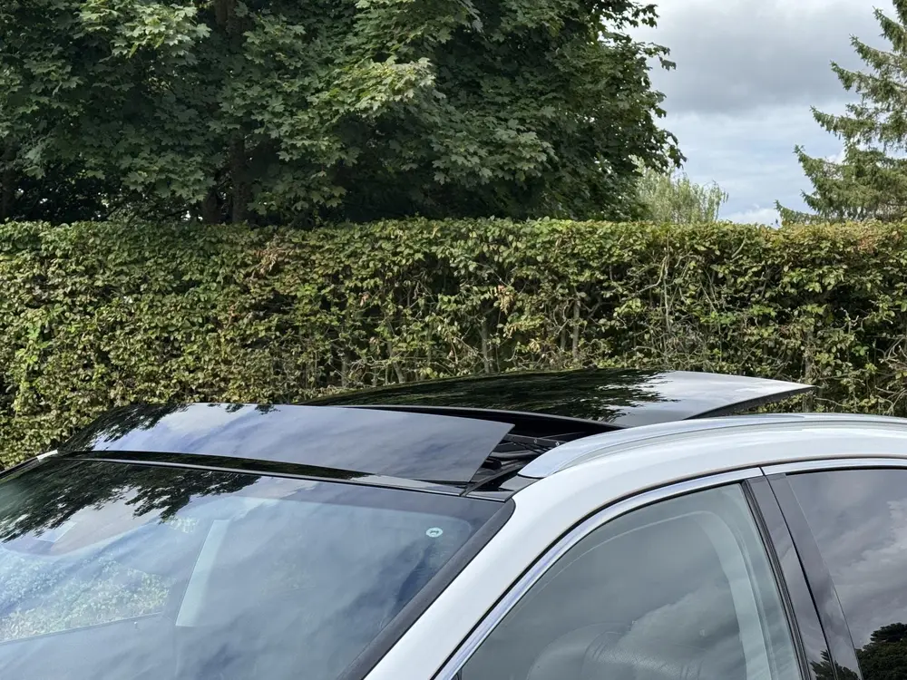 Lexus RX 450h AWD President Trekhaak MarkLevinson Panorama uit 2021, foto 8