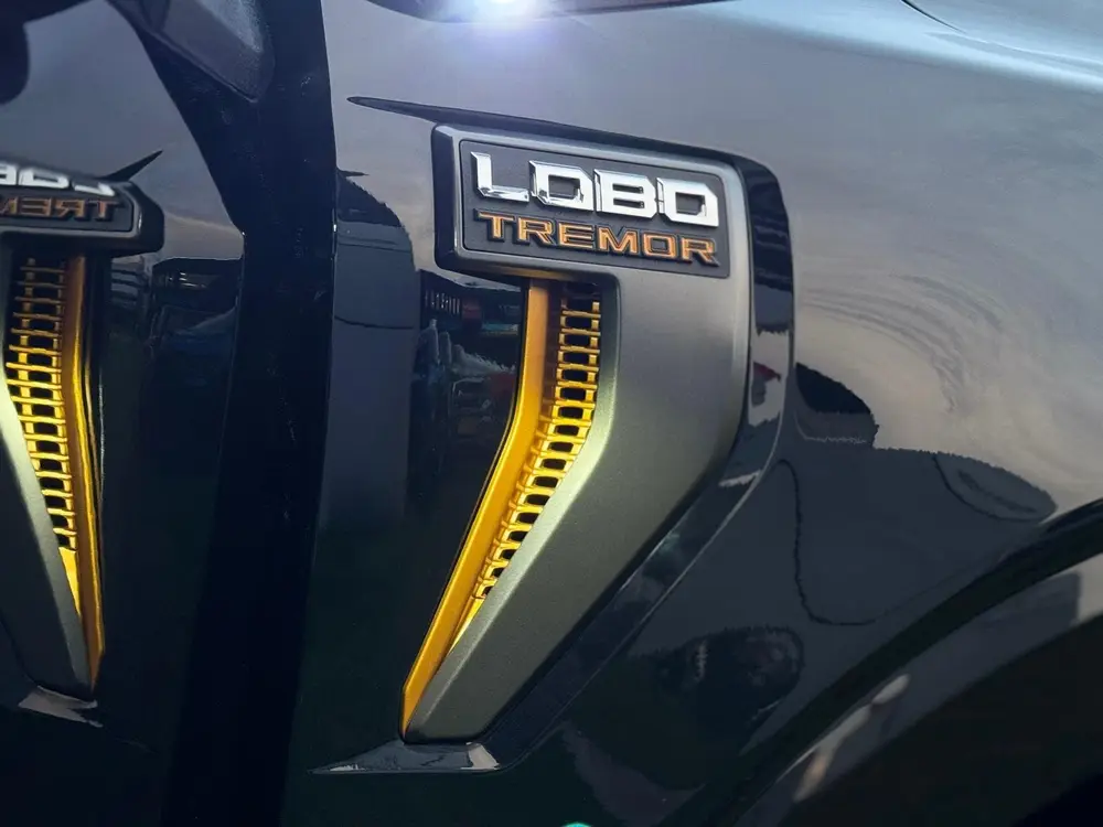 Ford F150 USA F-150 3.5 EcoBoost Tremor Black Edition BPM-VRIJ uit 2022, foto 17
