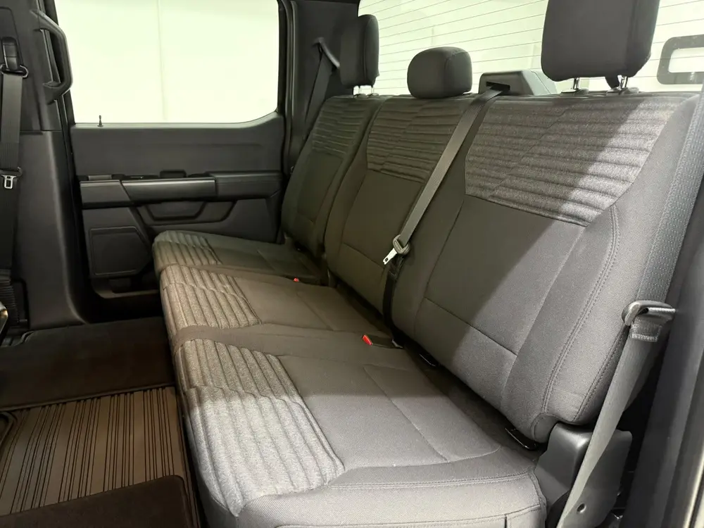Ford F150 USA F-150 V6 Ecoboost STX Sport Night Appearance Pack B uit 2023, foto 6
