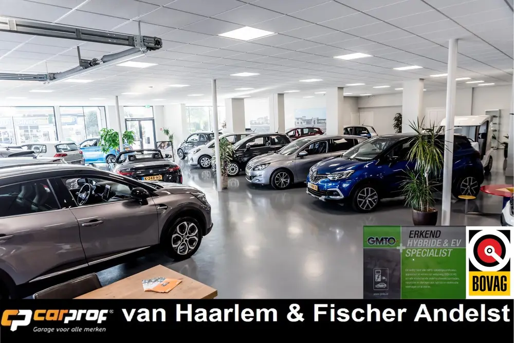 Volkswagen T-Cross 1.0 TSI Life Edition Automaat, Cruise Con uit 2025, foto 3