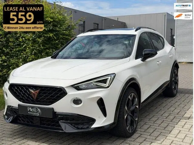 Cupra Formentor 2.0 TSI 4DRIVE|Pano|Stuurverw|Beats|Bomvol! uit 2020