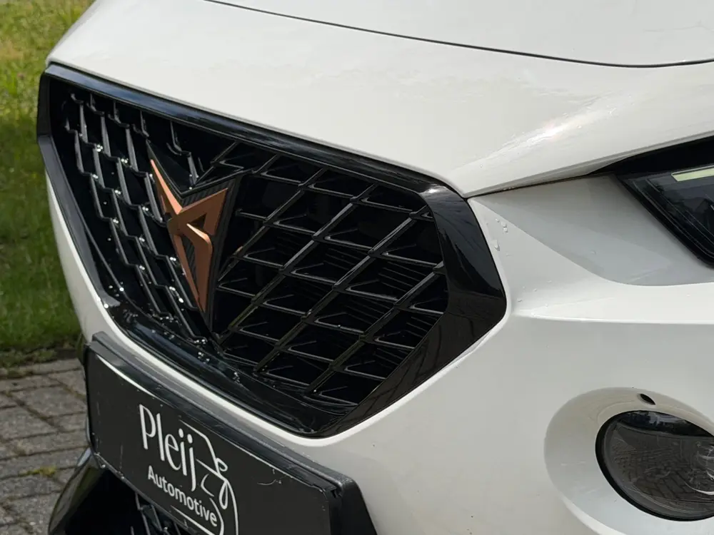 Cupra Formentor 2.0 TSI 4DRIVE|Pano|Stuurverw|Beats|Bomvol! uit 2020, foto 19