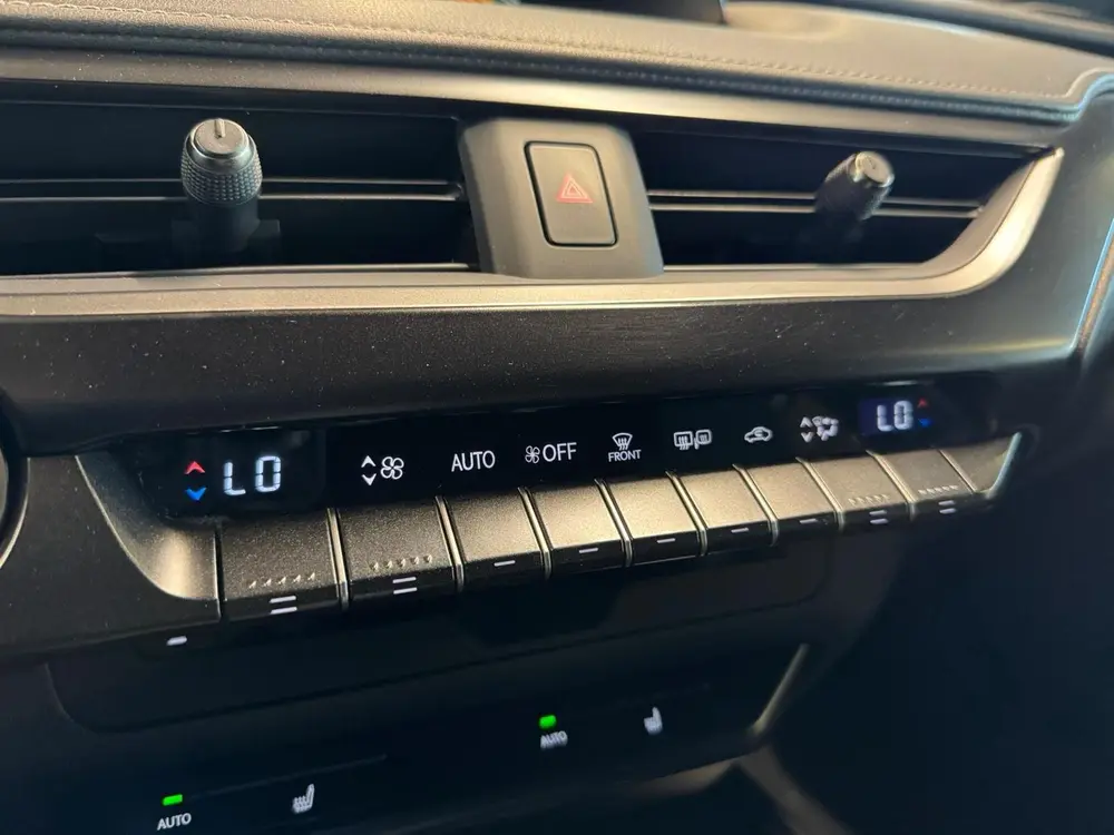 Lexus UX 250h Luxury Line uit 2022, foto 16