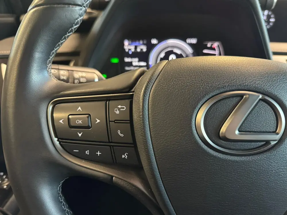Lexus UX 250h Luxury Line uit 2022, foto 19
