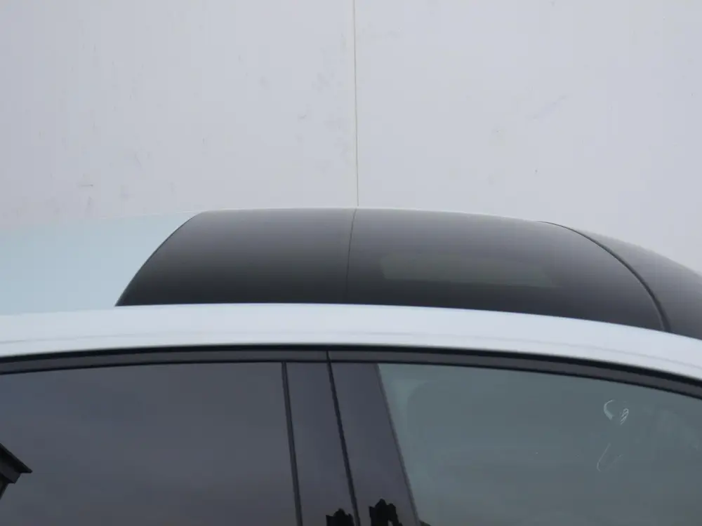 Volkswagen Polo 50 Edition 1.0 TSI / 95 PK | Panoramadak | K uit 2026, foto 4