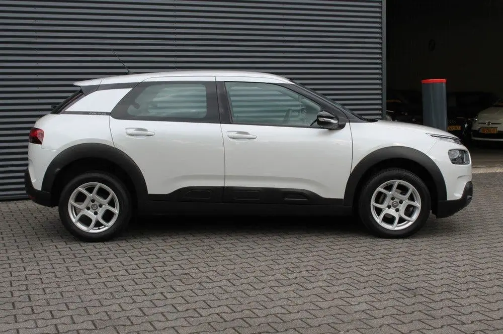 Citroën C4 Cactus Citroen C4 CACTUS 1.2 PureTech Business Uitv. NAVIGATIE uit 2019, foto 17