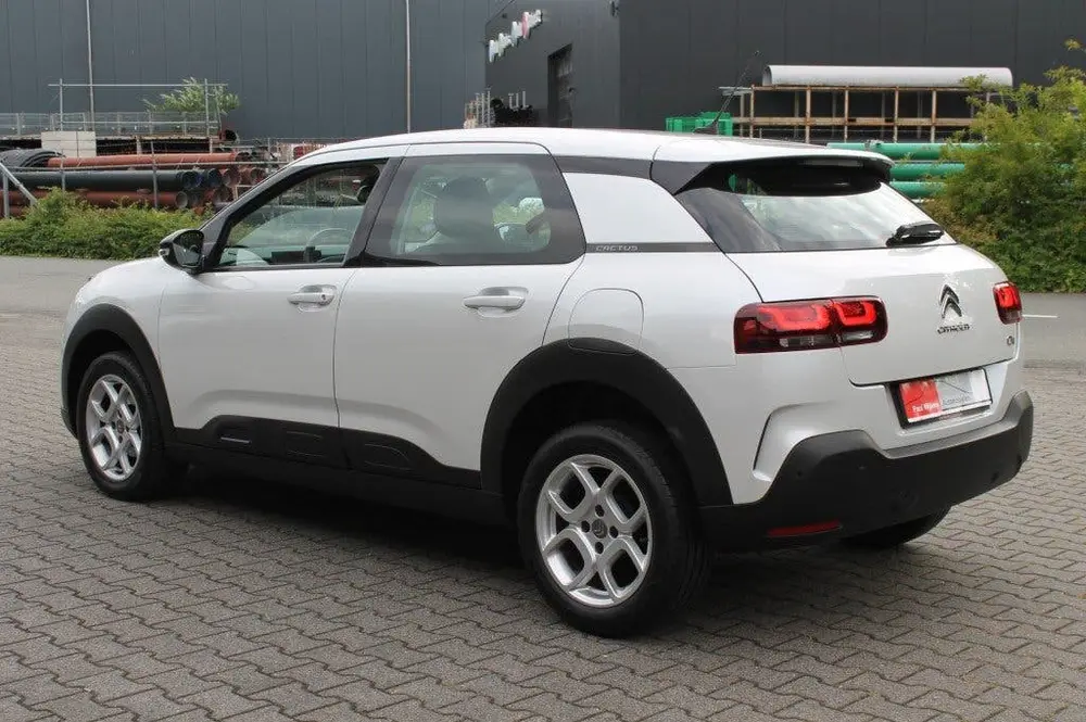 Citroën C4 Cactus Citroen C4 CACTUS 1.2 PureTech Business Uitv. NAVIGATIE uit 2019, foto 19
