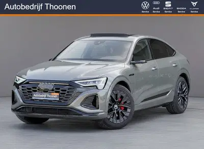 Audi Q8 55 quattro S Edition 115 kWh uit 2024
