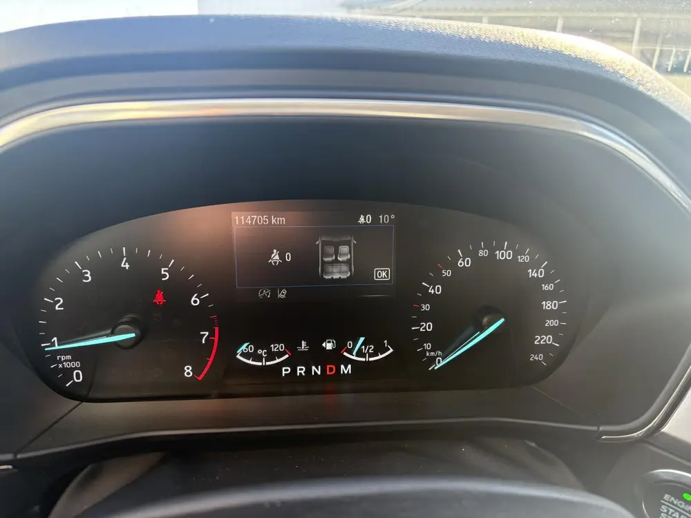 Ford Focus 1.0 EcoBoost active Nieuwe motor, clima, cruise uit 2019, foto 13