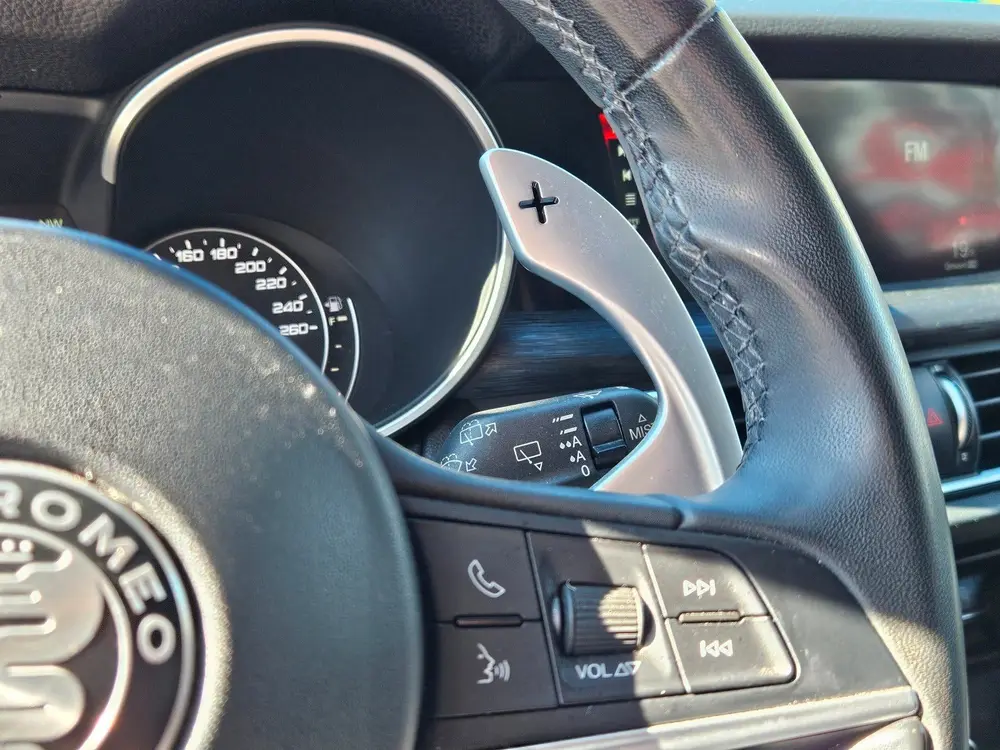 Alfa Romeo Stelvio 2.0 T AWD 280PK / ACC / PANO uit 2019, foto 14