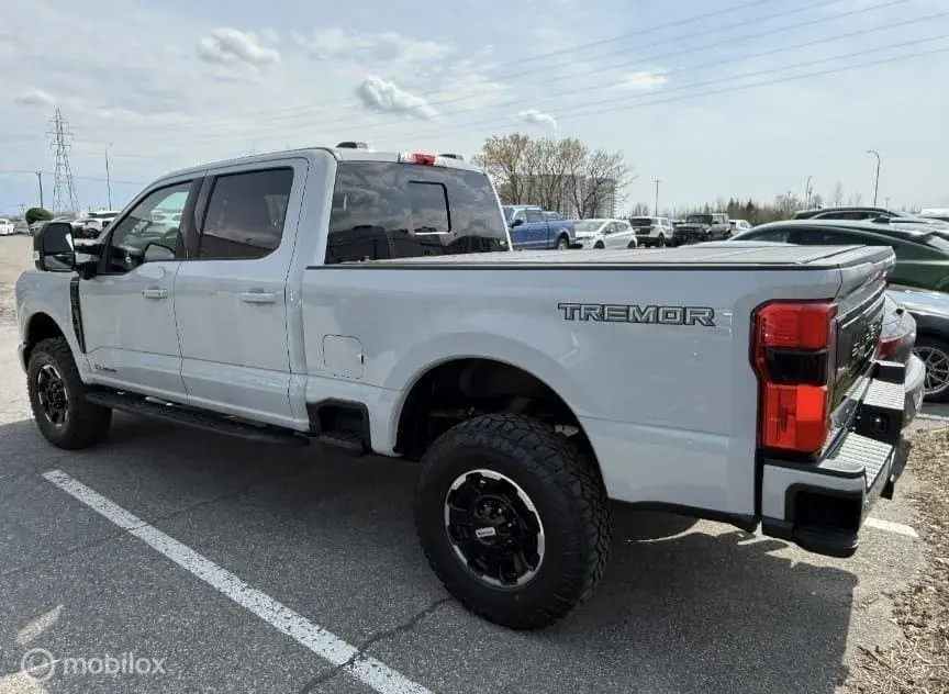 Ford F250 F250 6.7 V8 H.O. Powerstroke Platinum Tremor met Lier uit 2026, foto 14