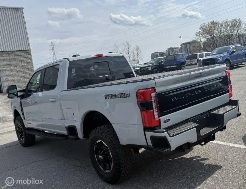 Ford F250 F250 6.7 V8 H.O. Powerstroke Platinum Tremor met Lier uit 2026, foto 15
