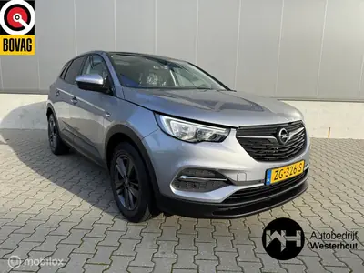 Opel Grandland X 1.2 Turbo 120 Jaar Edition PANO AUTOMAAT AP uit 2019