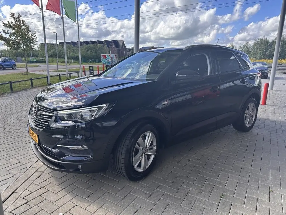Opel Grandland X 1.2 TURBO BUSINESS EDITION (bj 2019) uit 2019, foto 6