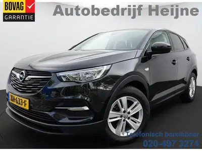 Opel Grandland X 1.2 TURBO 130PK EDITION CAMERA uit 2019