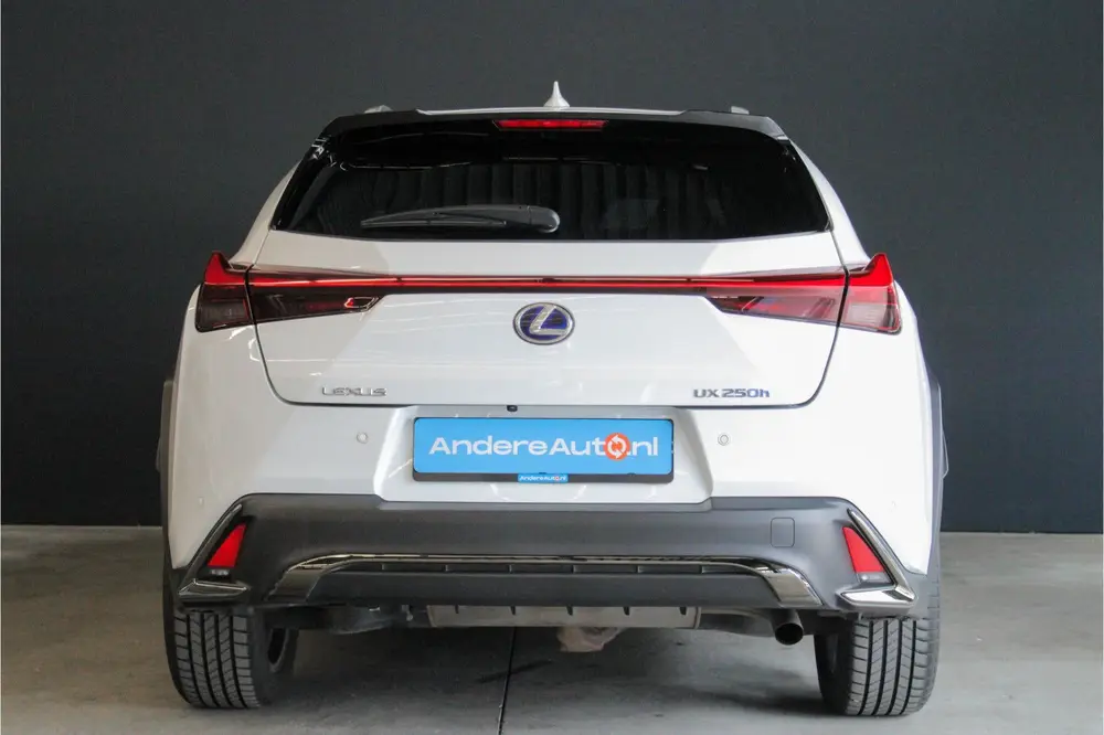 Lexus UX 250h F Sport Premium |dealer onderhouden|leder|elek uit 2019, foto 11