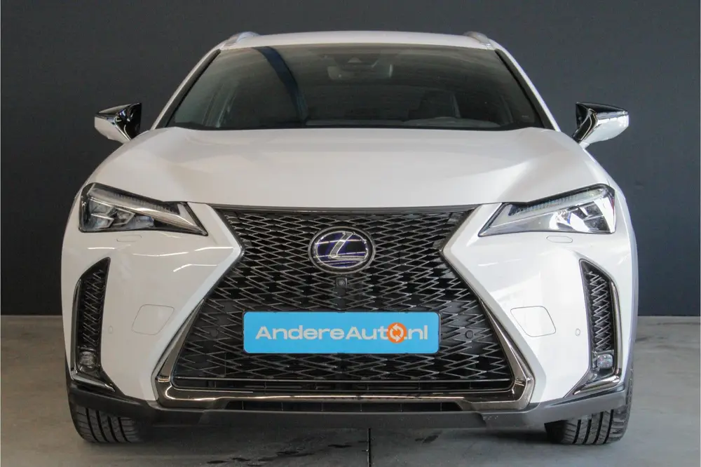 Lexus UX 250h F Sport Premium |dealer onderhouden|leder|elek uit 2019, foto 7