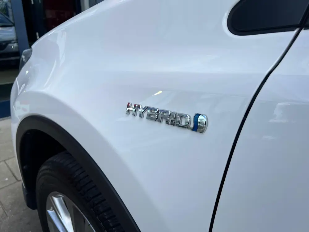 Toyota RAV4 2.5 Hybrid Executive uit 2019, foto 7