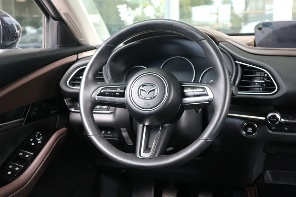 Mazda CX-30 2.0 e-SkyActiv-X M Hybrid Luxury Leer / 360 Came uit 2019, foto 12