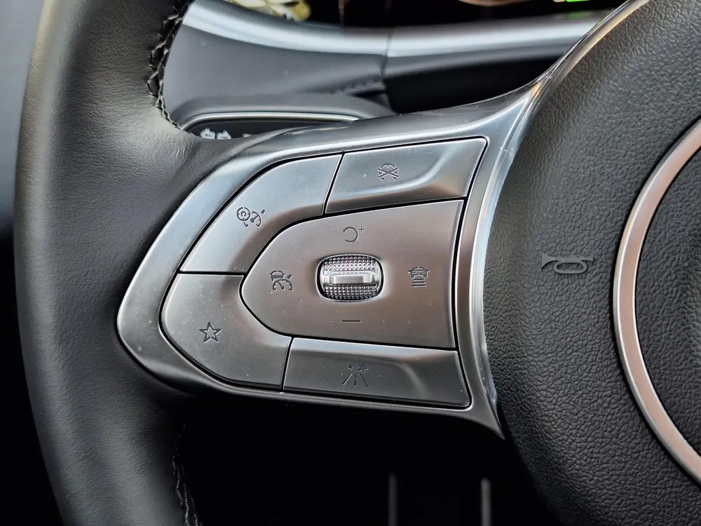 Voyah Free Limited Edition Business 4WD 106 kWh | Schuifdak uit 2026, foto 14