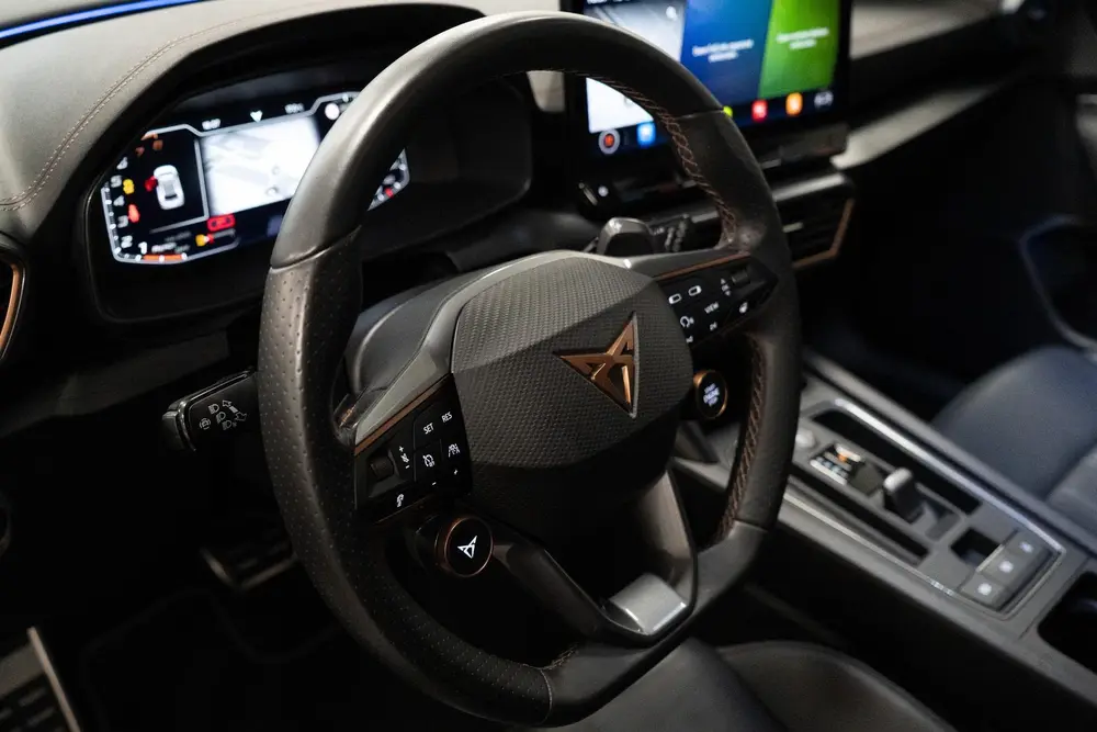 Cupra Formentor 2.0 TSI 4DRIVE Leder uit 2021, foto 8